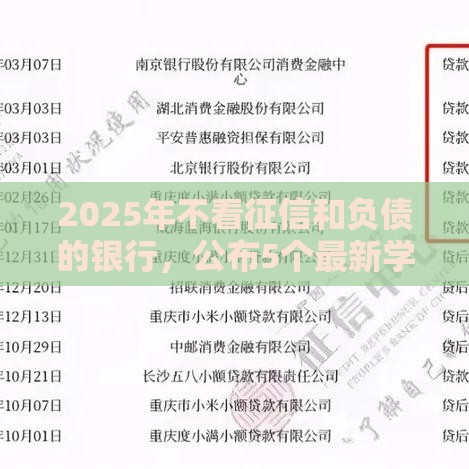 2025年不看征信和负债的银行，公布5个最新学生借钱平台