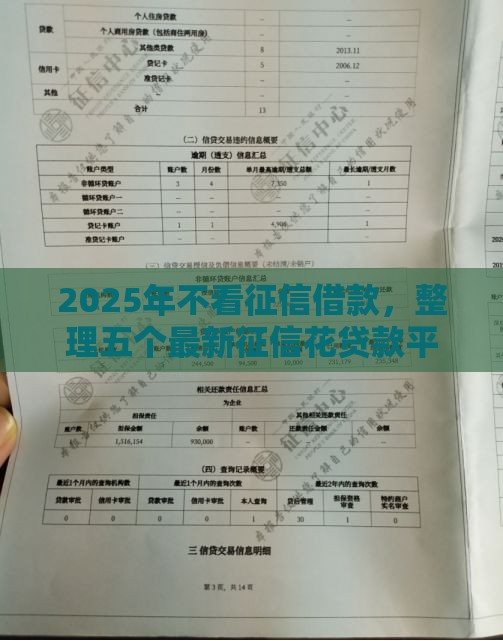 2025年不看征信借款，整理五个最新征信花贷款平台好下款