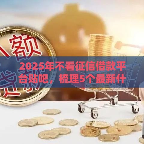 2025年不看征信借款平台贴吧，梳理5个最新什么网贷平台正规