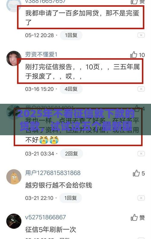 2025年不看征信就下款的贷款，试试这五个最新国家正规网贷平台