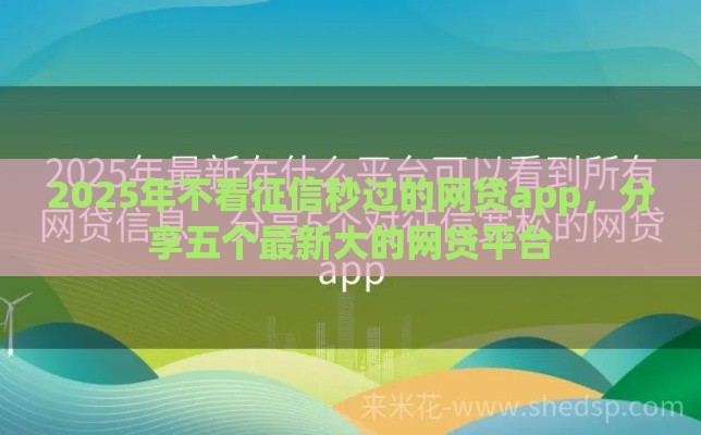 2025年不看征信秒过的网贷app，分享五个最新大的网贷平台