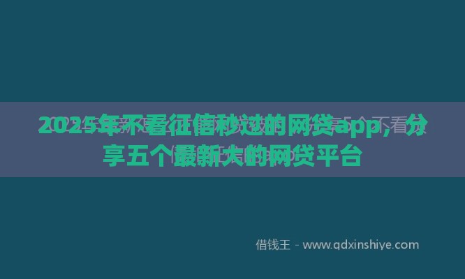 2025年不看征信秒过的网贷app，分享五个最新大的网贷平台