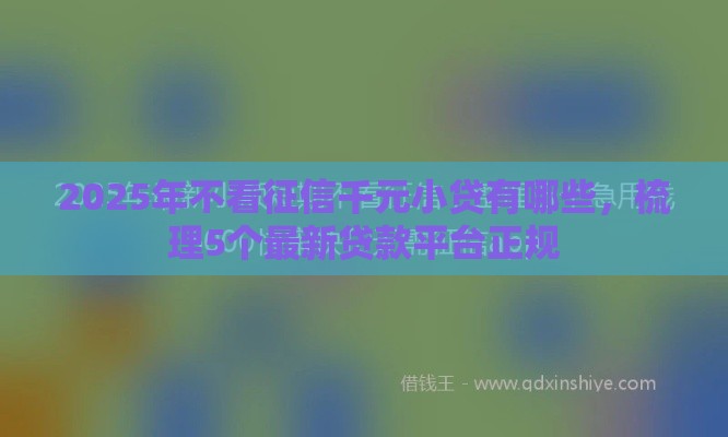 2025年不看征信千元小贷有哪些,梳理5个最新贷款平台正规 2025年不看征信千元小贷有哪些,梳理5个最新贷款平台正规