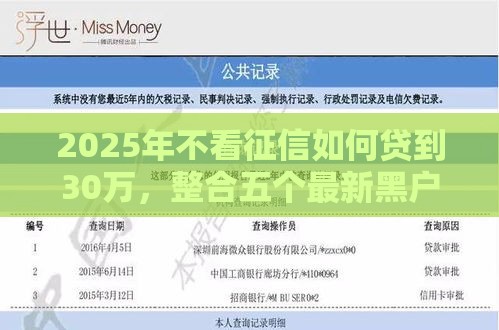 2025年不看征信如何贷到30万，整合五个最新黑户借贷平台