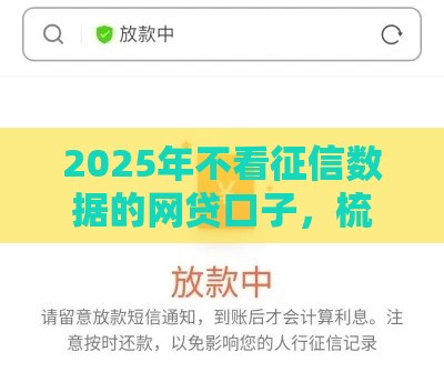 2025年不看征信数据的网贷口子，梳理五个最新融360贷款平台