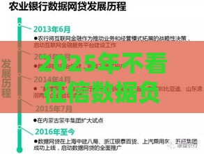 2025年不看征信数据负债，整合5个最新良心网贷平台