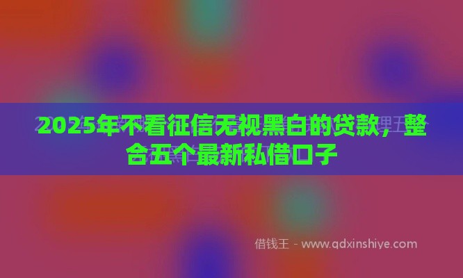 2025年不看征信无视黑白的贷款，整合五个最新私借口子