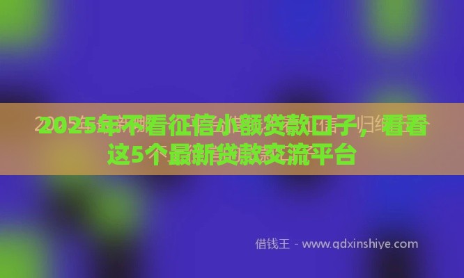 2025年不看征信小额贷款口子，看看这5个最新贷款交流平台