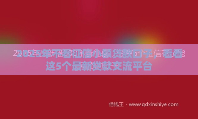 2025年不看征信小额贷款口子，看看这5个最新贷款交流平台