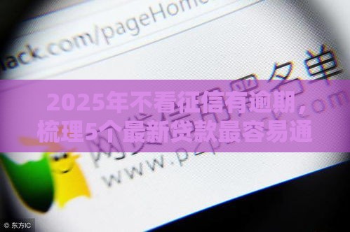 2025年不看征信有逾期,梳理5个最新贷款最容易通过的平台 2025年不看征信有逾期,梳理5个最新贷款最容易通过的平台