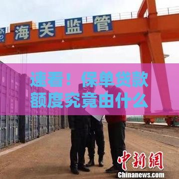 速看！保单贷款额度究竟由什么决定