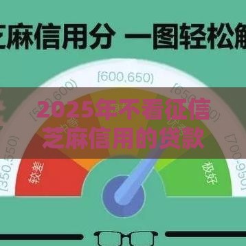 2025年不看征信芝麻信用的贷款平台是哪个，公布5个最新80岁到90岁老人借款平台推荐
