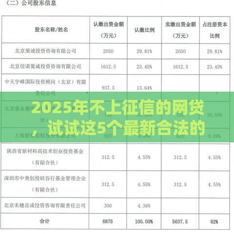2025年不上征信的网贷，试试这5个最新合法的网贷平台