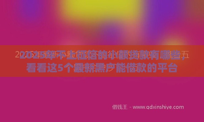 2025年不上征信的小额贷款有哪些，看看这5个最新黑户能借款的平台