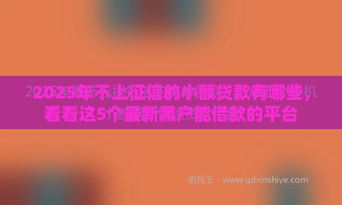 2025年不上征信的小额贷款有哪些，看看这5个最新黑户能借款的平台