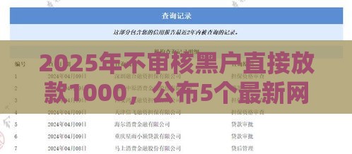 2025年不审核黑户直接放款1000，公布5个最新网贷综合评分不足平台能借2000块急用