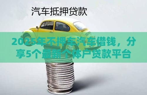 2025年不押车汽车借钱，分享5个最新个体户贷款平台
