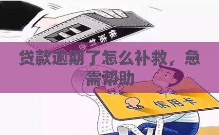 贷款逾期了怎么补救，急需帮助