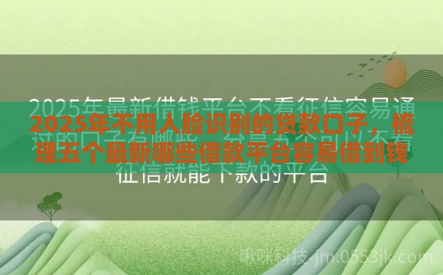 2025年不用人脸识别的贷款口子，梳理五个最新哪些借款平台容易借到钱