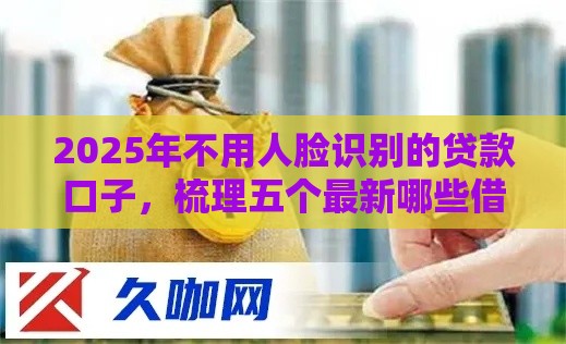 2025年不用人脸识别的贷款口子，梳理五个最新哪些借款平台容易借到钱