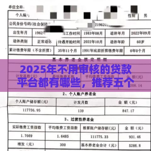 2025年不用审核的贷款平台都有哪些，推荐五个最新平台贷款好用