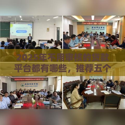 2025年不用审核的贷款平台都有哪些，推荐五个最新平台贷款好用