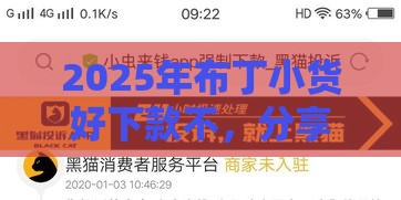 2025年布丁小货好下款不，分享五个最新黑户分期借钱平台什么最好下款