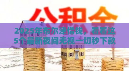 2025年布尔津借钱，看看这5个最新夜间无视一切秒下款的高炮口子