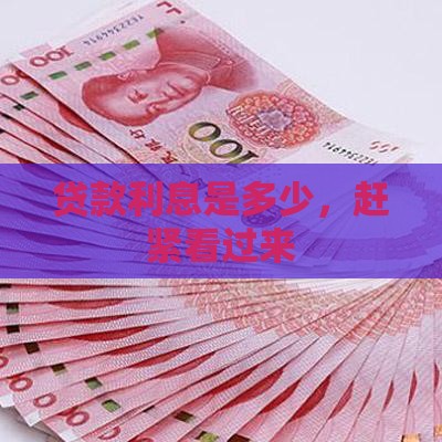贷款利息是多少，赶紧看过来
