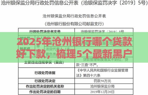 2025年沧州银行哪个贷款好下款，梳理5个最新黑户可以借钱的平台