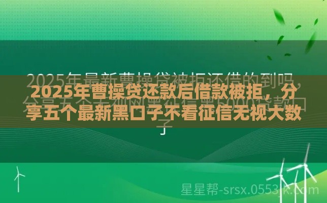 2025年曹操贷还款后借款被拒，分享五个最新黑口子不看征信无视大数据