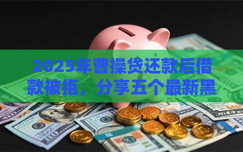 2025年曹操贷还款后借款被拒，分享五个最新黑口子不看征信无视大数据