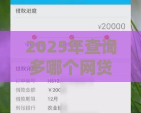 2025年查询多哪个网贷能通过，公布5个最新秒你贷同款平台