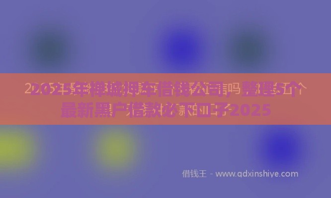 2025年禅城押车借钱公司，整理5个最新黑户借款必下口子2025