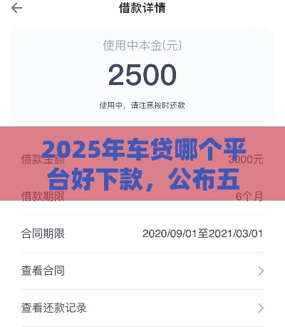 2025年车贷哪个平台好下款，公布五个最新网络贷款平台