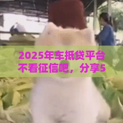 2025年车抵贷平台不看征信吧，分享5个最新招财猫贷款平台怎么样