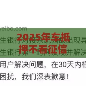 2025年车抵押不看征信的有吗，看看这五个最新微博专享借钱平台