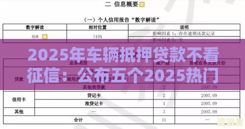 2025年车辆抵押贷款不看征信：公布五个2025热门借款平台利息低还的时间长的
