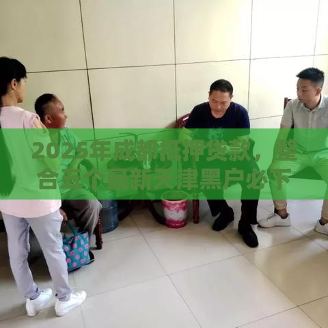 2025年成都抵押贷款，整合五个最新天津黑户必下款的口子