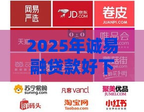 2025年诚易融贷款好下款吗，分享5个最新电商贷款平台