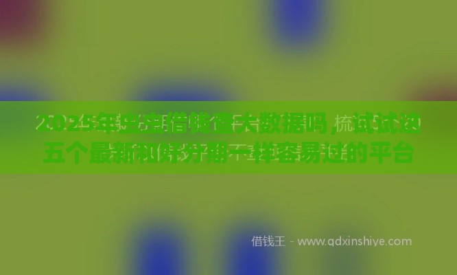 2025年虫虫借钱查大数据吗，试试这五个最新和好分期一样容易过的平台
