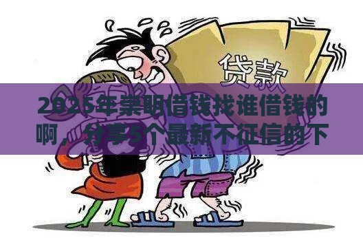 2025年崇明借钱找谁借钱的啊，分享5个最新不征信的下款平台看