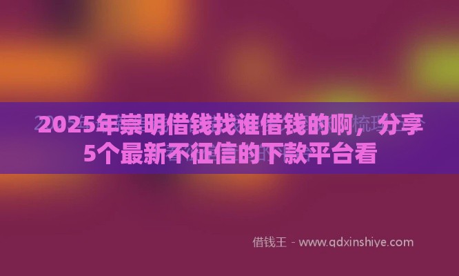 2025年崇明借钱找谁借钱的啊，分享5个最新不征信的下款平台看