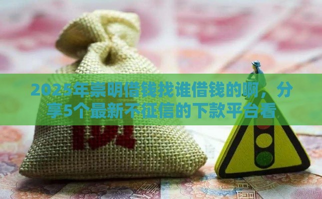 2025年崇明借钱找谁借钱的啊，分享5个最新不征信的下款平台看