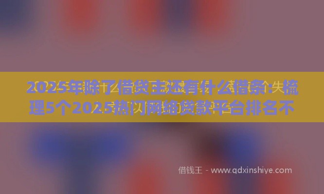 2025年除了借贷主还有什么借条:梳理5个2025热门网络贷款平台排名不分先后 2025年除了借贷主还有什么借条:梳理5个2025热门网络贷款平台排名不分先后