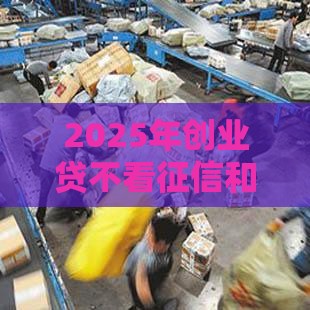 2025年创业贷不看征信和逾期吗，公布五个最新黑户百分百下款的平台