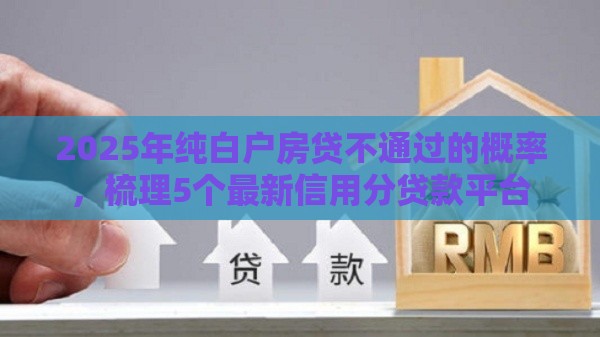 2025年纯白户房贷不通过的概率，梳理5个最新信用分贷款平台