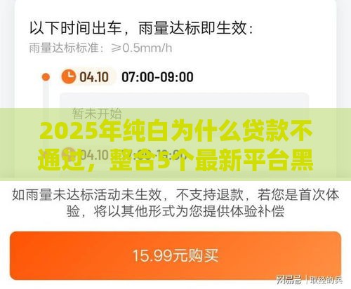 2025年纯白为什么贷款不通过，整合5个最新平台黑户能借100元