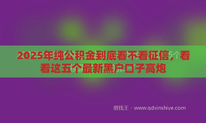 2025年纯公积金到底看不看征信，看看这五个最新黑户口子高炮
