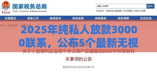 2025年纯私人放款30000联系，公布5个最新无视风控10000必下口子